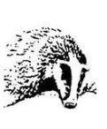 Prudhoe Badger